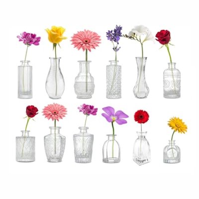 Simpa Glass Flower Vases