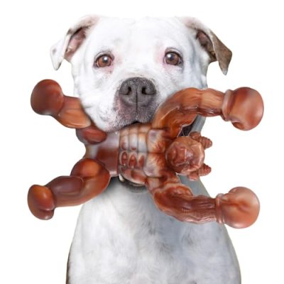 Zinbo Nylon Dog Chew Toy