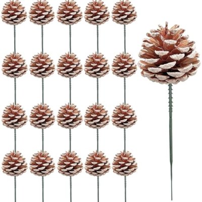 Pine Cones Craft Set