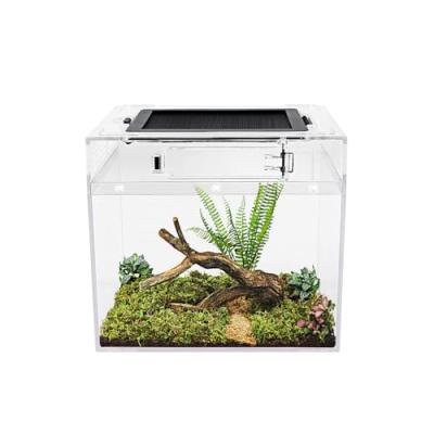 Mini Reptile Tank Vivarium
