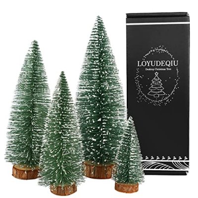 Miniature Pine Tree