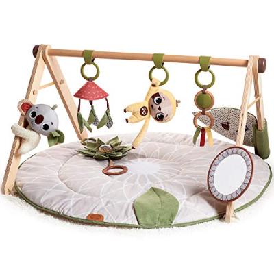 Tiny Love Developmental Gymini Baby Play Gym