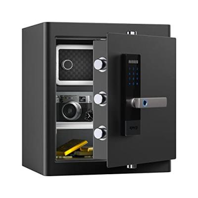 RPNB Biometric Security Safe Box
