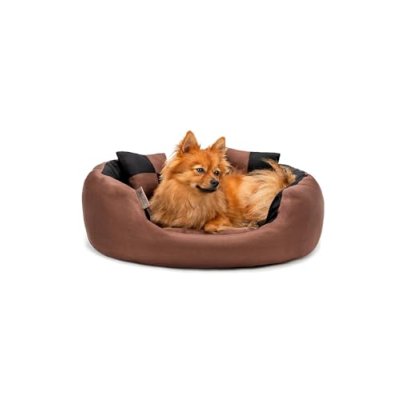 Lionto 4-in-1 Dog Bed