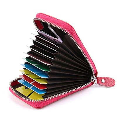 AirZyx Card Holder with Zip