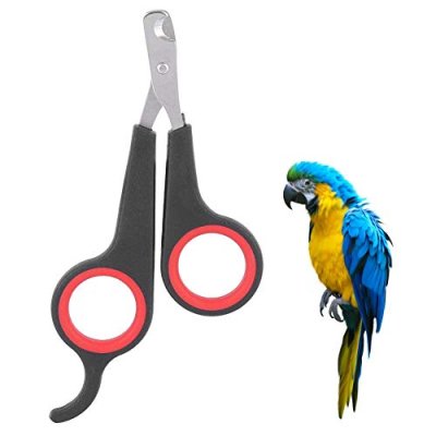 Bird Nail Clipper