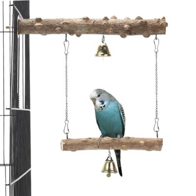Bird Perch and Swing Toy