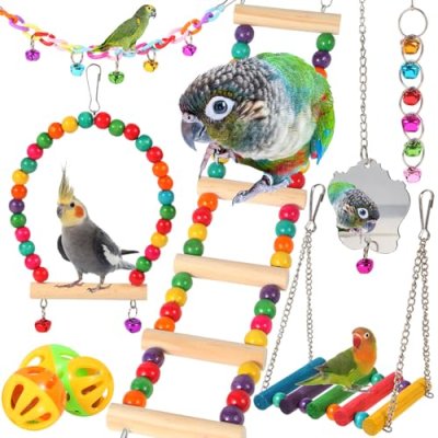 Bird Toy Set with Ladder and Swing
