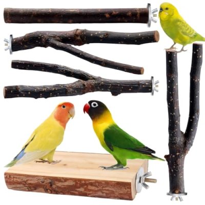 Bird Toys Perch