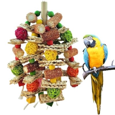 Lisetar Bird Toy for Large Parrots