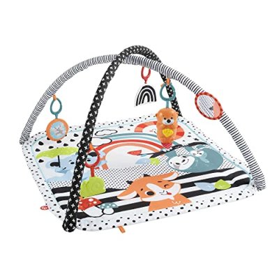 Fisher-Price Baby Gym