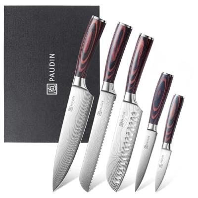 PAUDIN Kitchen Knife Set