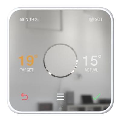 Hive Thermostat with Hive Hub