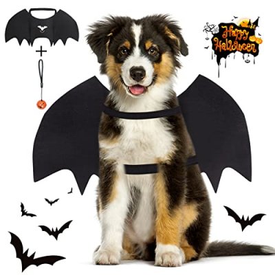 Vivifying Dog Bat Wings