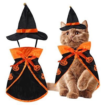 Wizard Costume for Pets