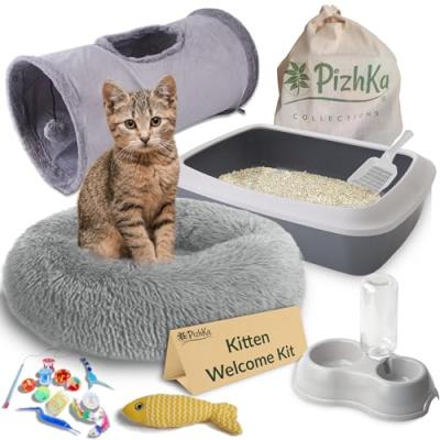 PizhKa® Kitten Starter Kit Bundle