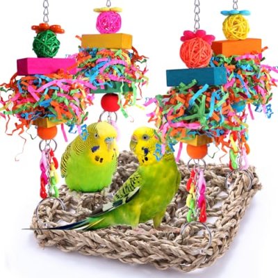 BBjinronjy Bird Foraging Toy