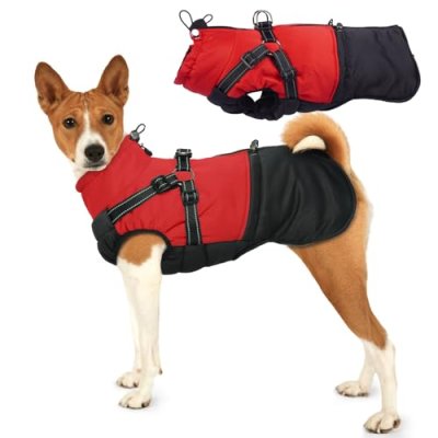 Hjumarayan Dog Coat
