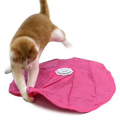 Blackhole Rotating Cat Toy