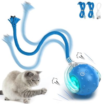 FlerdmaU Interactive Cat Toy