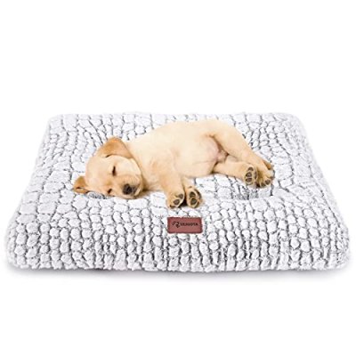 Uligota Dog Bed and Crate Mat