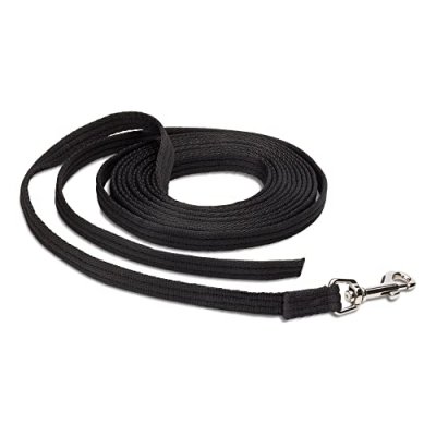 Clix Training Leash