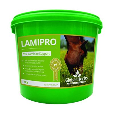 Global Herbs LamiPro