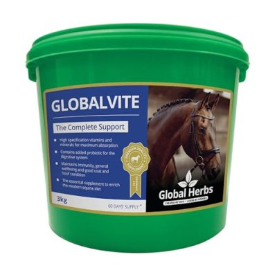 GlobalVite Equine Supplement