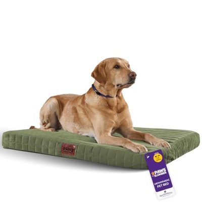 Slumberdown Dog Bed