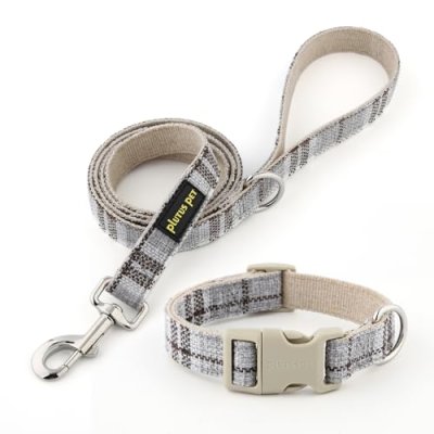 Plutus Pet Dog Collar & Leash