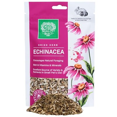 Small Pet Select Echinacea