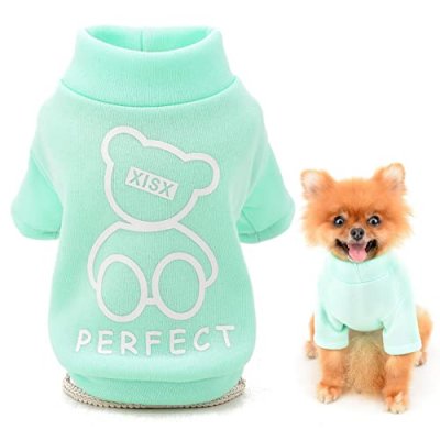 Smalllee Cartoon Puppy Sweater
