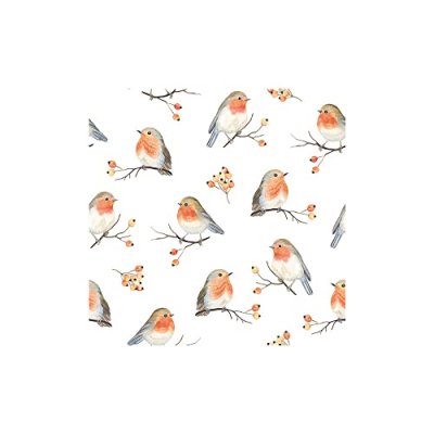 Ambiente Robin Paper Napkins