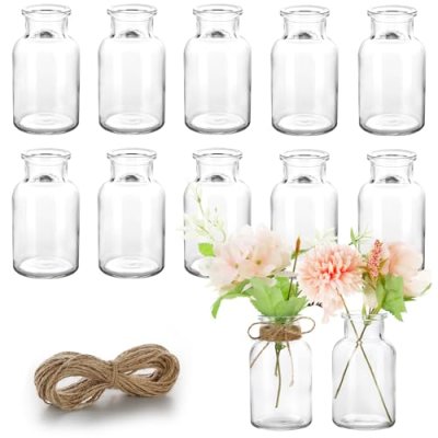 Vmgigig Small Glass Vases