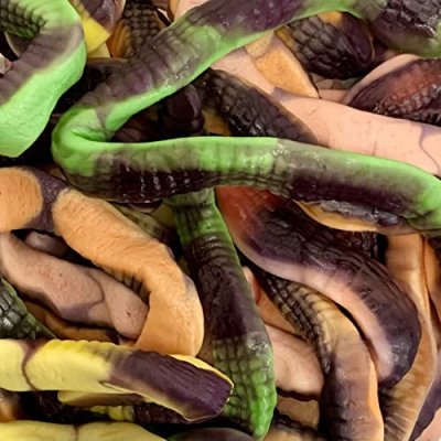 Anacondas Snakes Share Bag