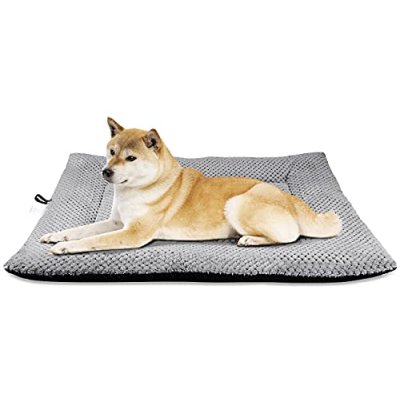 Onarway Dog Bed