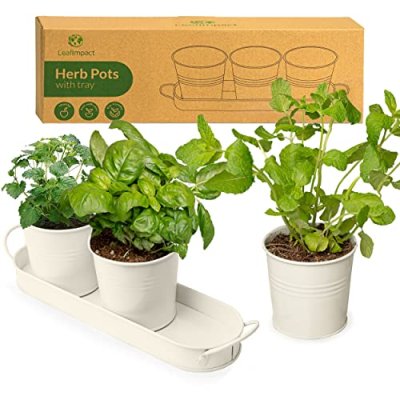 Indoor Herb Planter