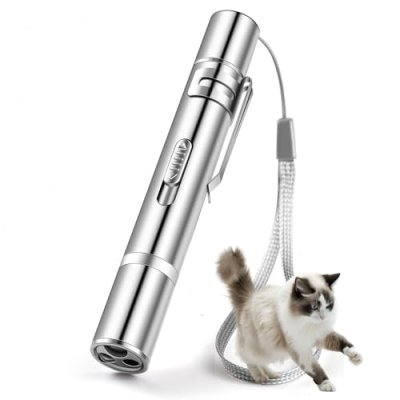 PAIDASHU Interactive Pet Toy