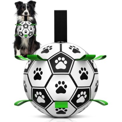 HETOO Interactive Dog Football