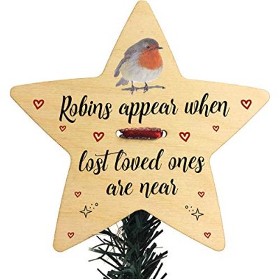 Robins Appear When Lost Loved Ones Are Near…
