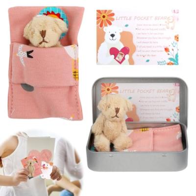 Pocket Bear Hug Key Chain Gift