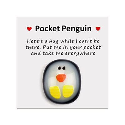 Pocket Penguin Hug