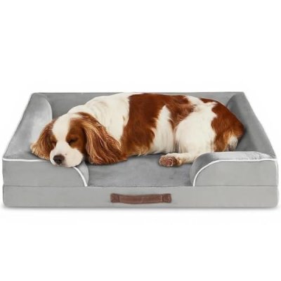 Codi Large Memory Foam Layer Dog Bed, Washable…