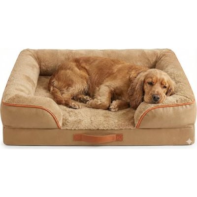 Codi Memory Foam Dog Bed