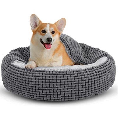 JoeJoy Dog Bed