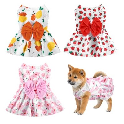 Dog and Cat Dress Set