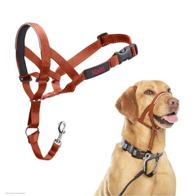 HALTI Dog Headcollar