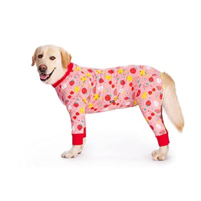 Dog Recovery Pajamas