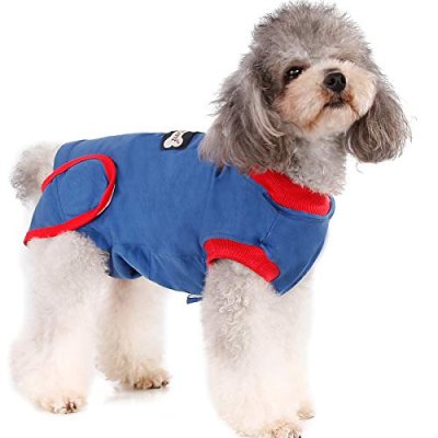 Dog Recovery Suit