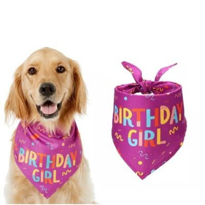 Dog Birthday Bandana